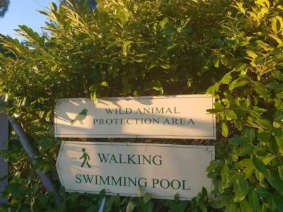 Panoramic Montepulciano - 46