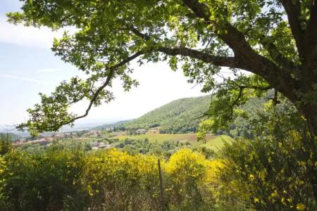 Panoramic Montepulciano - 31