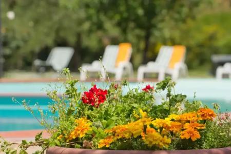 Panoramic Montepulciano - 26