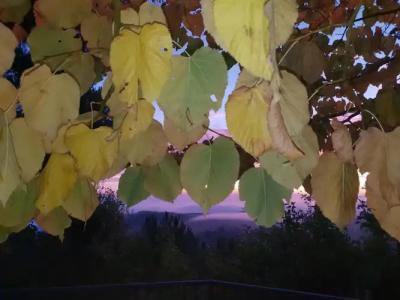 Panoramic Montepulciano - 43