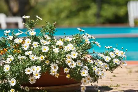 Panoramic Montepulciano - 47