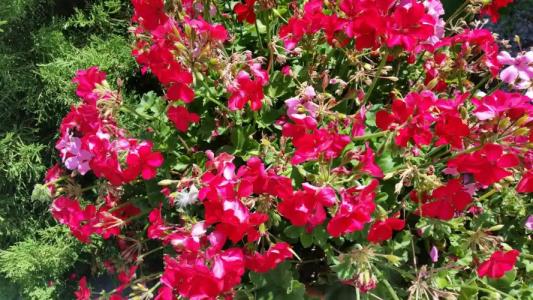 Panoramic Montepulciano - 40