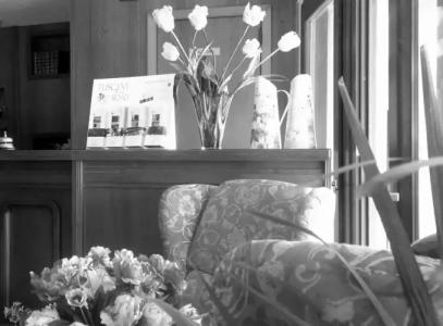 Panoramic Montepulciano - 16