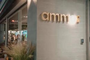 Hotel «Ammos Beach Seaside Luxury Suites», Olympiaki Akti