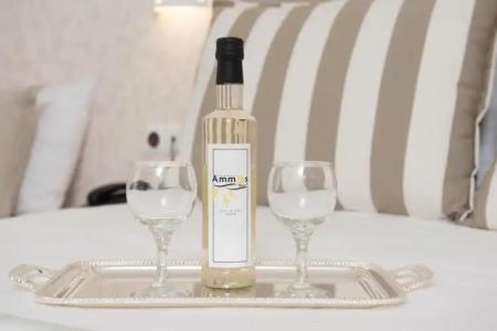 Ammos Beach Seaside Luxury Suites - 72