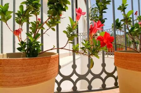 Relais Sant'Eligio - 43