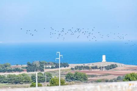 Masseria dei Monaci - 70