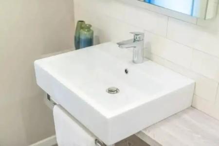 Nautilus Family - 19