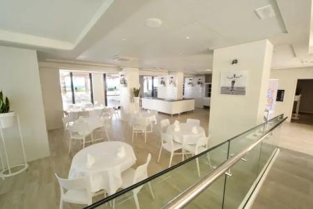 Nautilus Family - 26