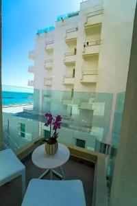 Nautilus Family - 45