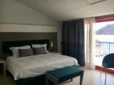Standard room with lake view
