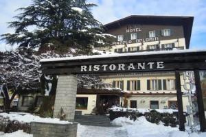 Hotel Pinzolo-Dolomiti, Pinzolo