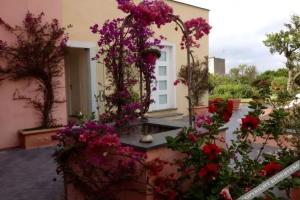 Hotel 'a Sciulia, Procida Island