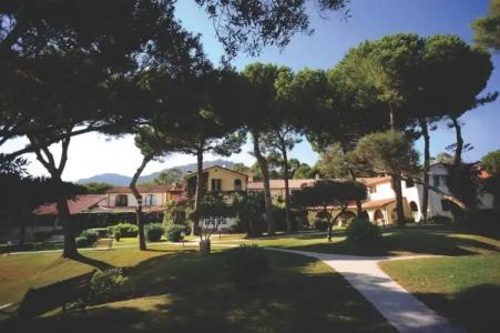 Is Morus Relais
