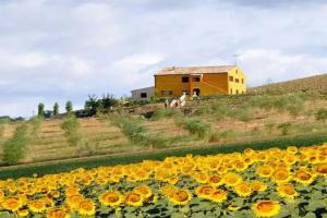 Villa Scuderi, Recanati