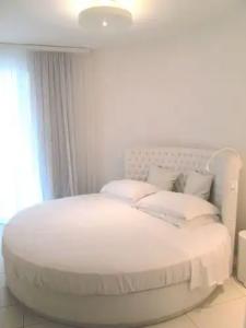 Al Cavallino Bianco - 36