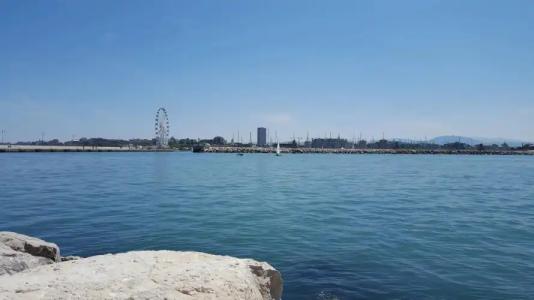 Calypso- Rimini Marina Centro - 20