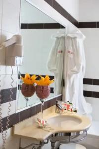 Panama Majestic - 119