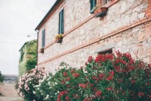 Agriturismo Il Rigo, San Quirico d'Orcia