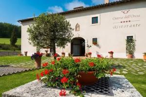 Castiglione d