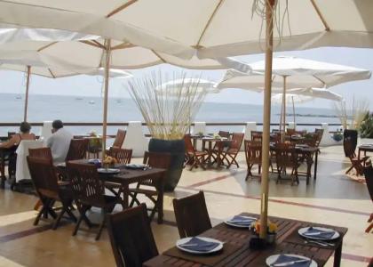 Cavalluccio Marino - 27