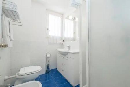 Cavalluccio Marino - 41