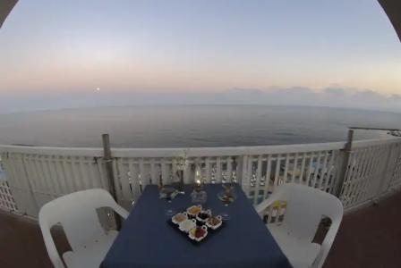 Cavalluccio Marino - 7