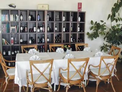 Cavalluccio Marino - 25