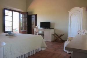 Tenuta Seripa, Sassetta