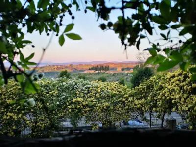 Palazzo Ravizza - 33