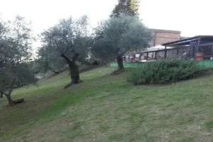 Hotel Porta Romana, Siena