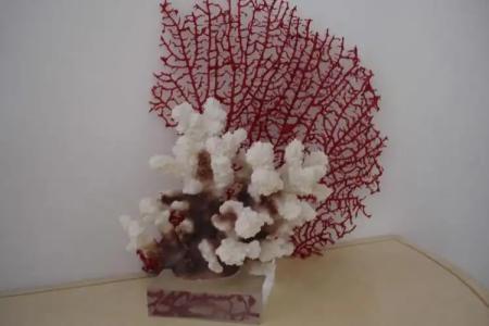 Musciara Siracusa Resort - 164