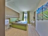 Standard Double room with balcony and with pool view