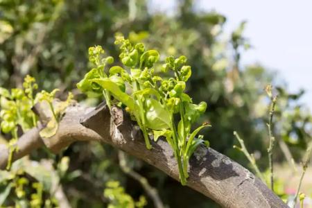 Relais Regina Giovanna - 37