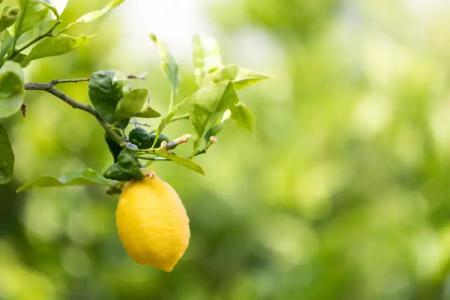 Relais Regina Giovanna - 49