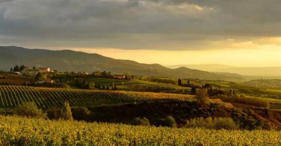 Borgobrufa Spa Resort Adults Only - 13