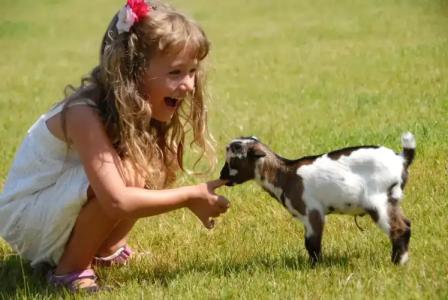 Arbatax Park Resort - Telis - 27