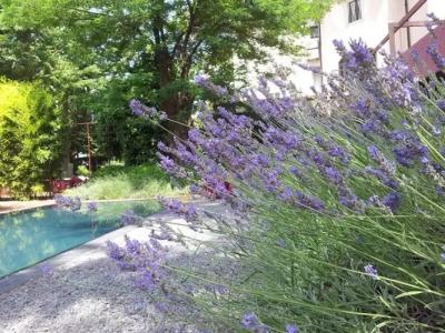 Clocchiatti Next - 20