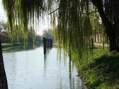 Relais Alcova del Doge - 32