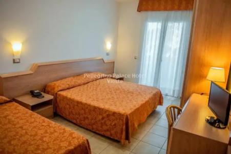 Pellegrino Palace - 23