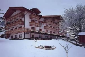 Berg Hotel Latemar Spitze, Vigo di Fassa