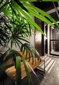 Thapae Loft - 48