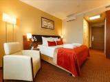 Atrium Standard Double room