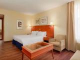 Superior room with park view