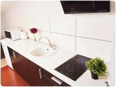 HOME APART-Vivulskis - 119