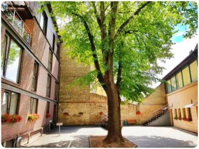 HOME APART-Vivulskis - 52