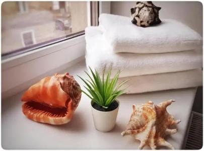 HOME APART-Vivulskis - 151