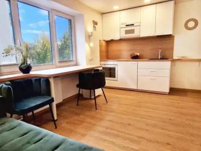 HOME APART-Vivulskis - 36