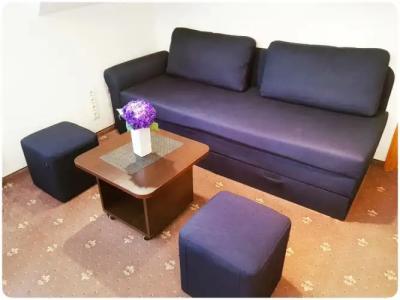 HOME APART-Vivulskis - 16