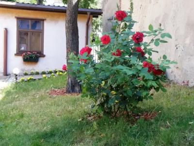 Express Guest House - 14